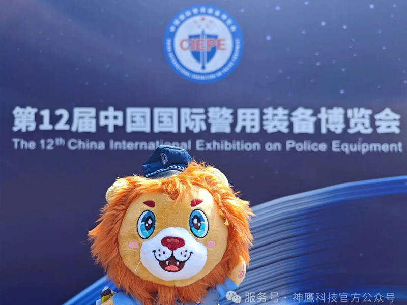 山东神鹰闪耀第 12 届